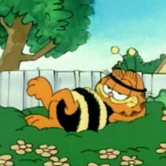 xx_guava
